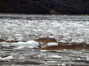 gletsjer ijs in Patagonië