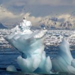 ijssculptuur zeevogels meeuwen Spitsbergen Svalbard vogels op ijsberg expeditie onderzoek SeaWind Adventures