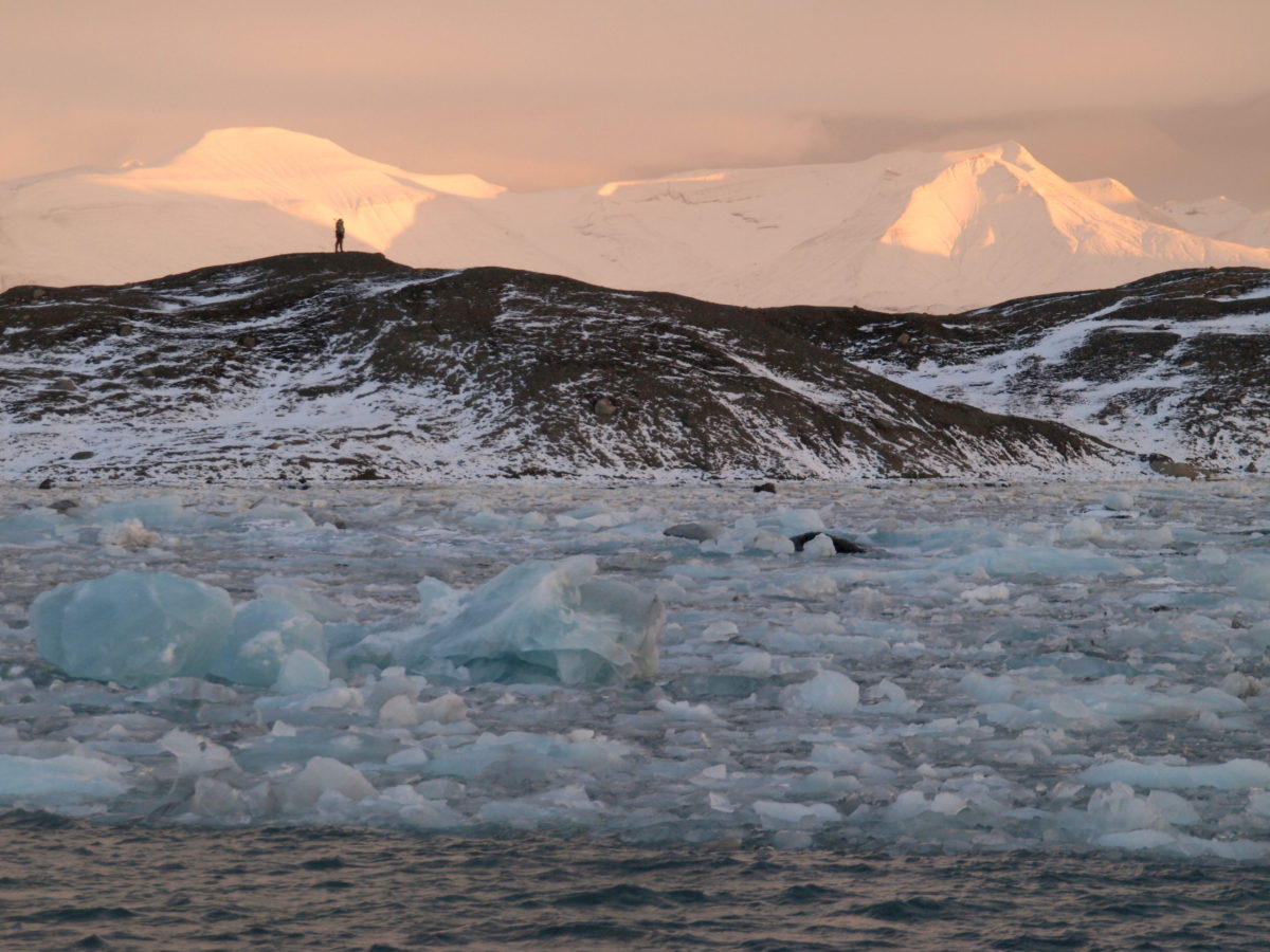 onderzoek expeditie Spitsbergen Svalbard ijsveld gletsjer poolgebied SeaWind Adventures