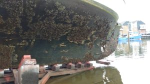 Baltic zeilschip aangroei antifouling