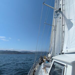 IMG_20260707_175211_711