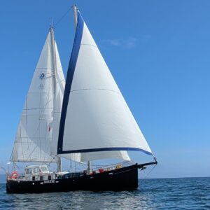 zeilschip Baltic, stagzeilkits