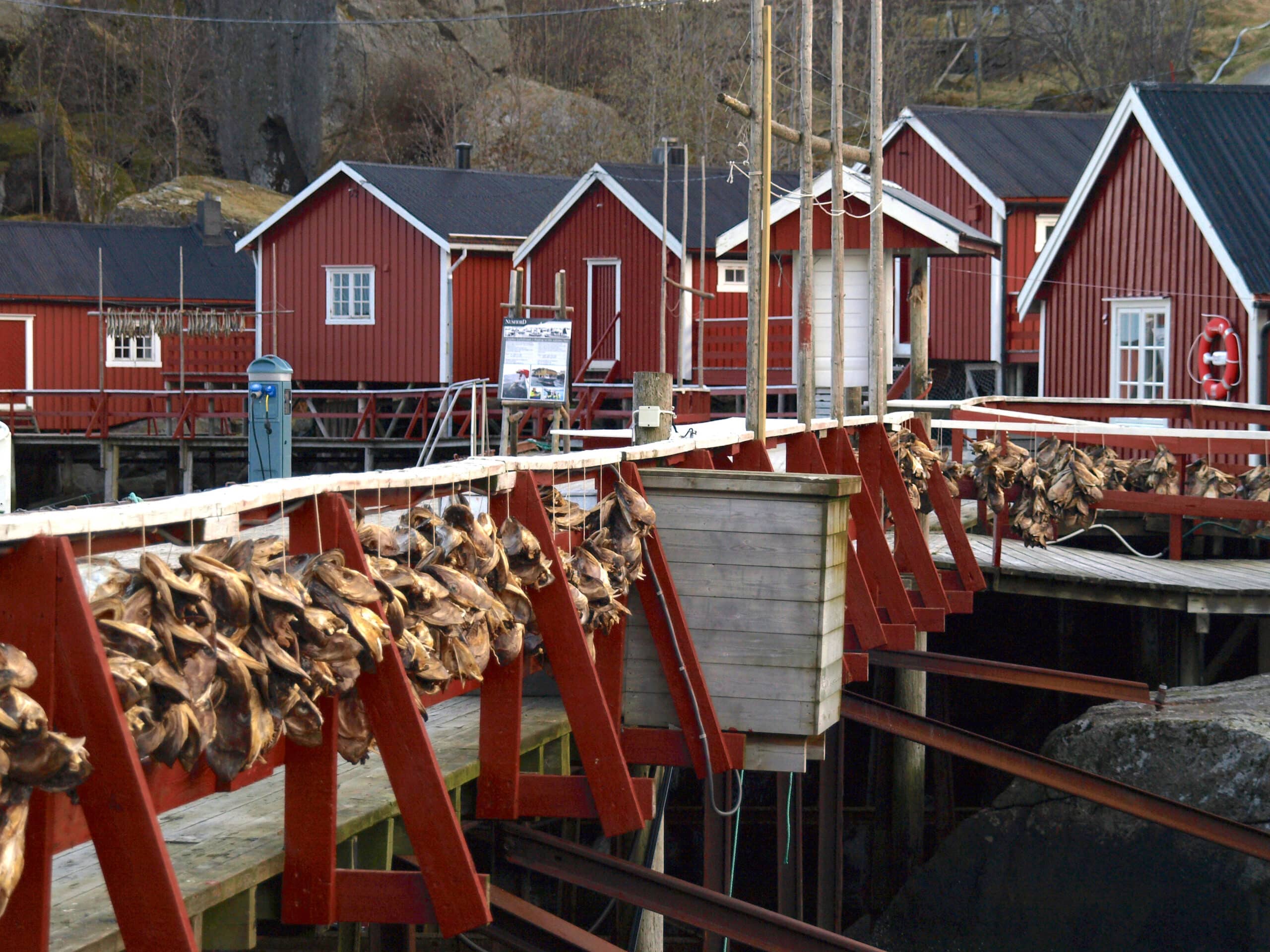 rorbuer, vissershuisjes in het Nussfjord